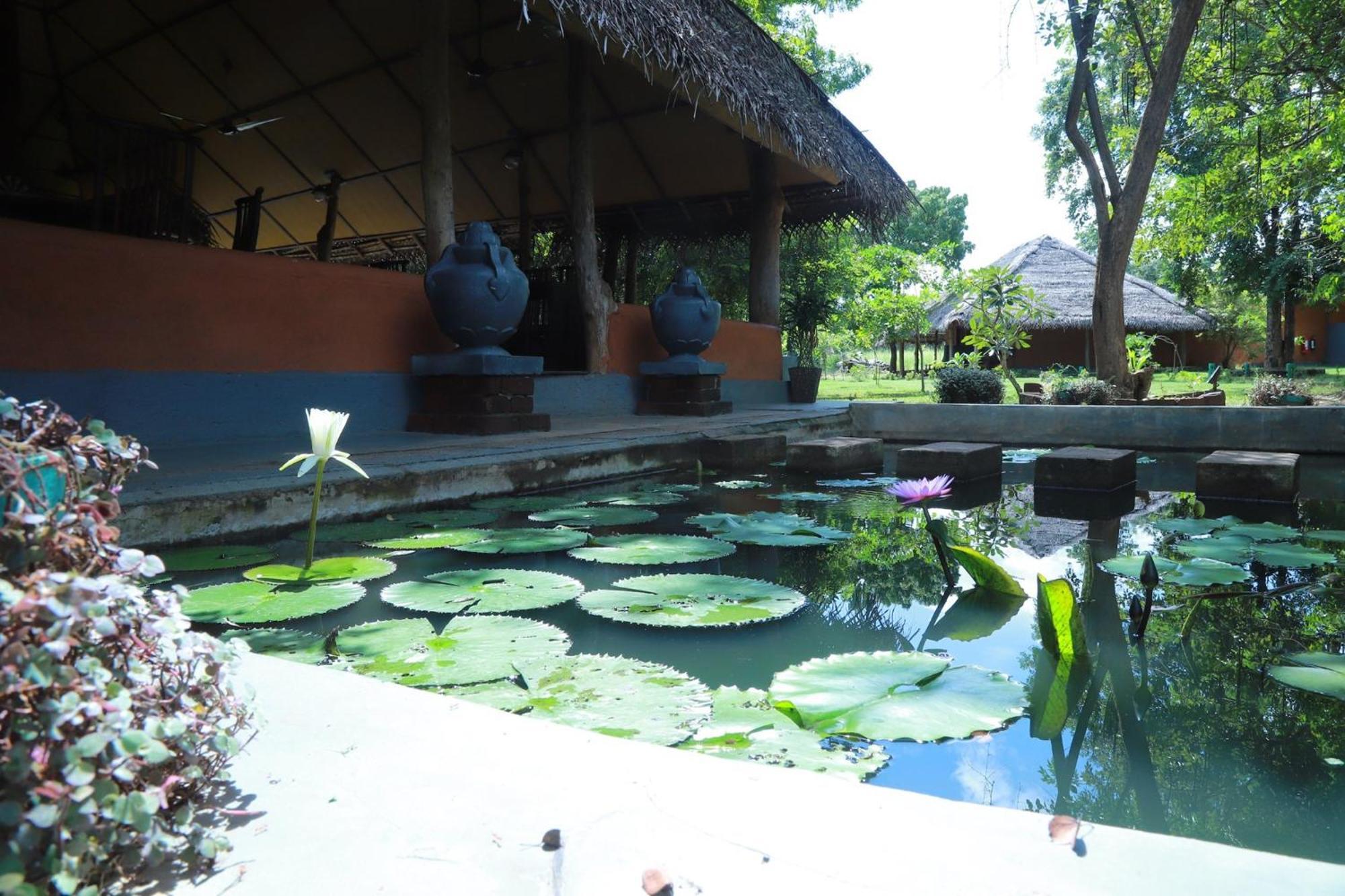 Cabanas By Cloudz Sigiriya Ngoại thất bức ảnh